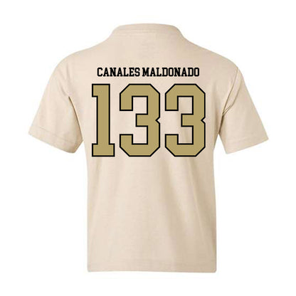 Ferrum - NCAA Wrestling : Josiah Canales Maldonado - Classic Shersey Youth T-Shirt-1