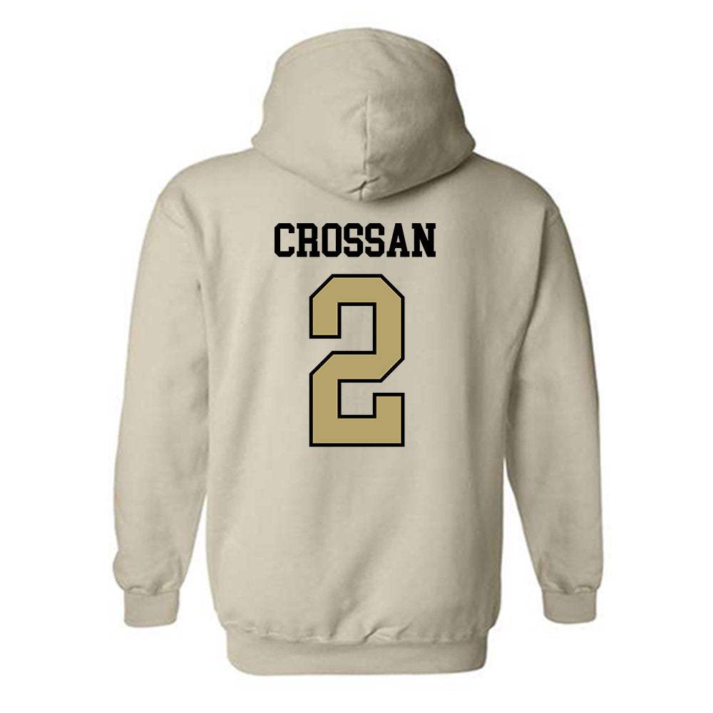Ferrum - NCAA Men's Soccer : Braden Crossan - Classic Shersey Hooded Sweatshirt-1