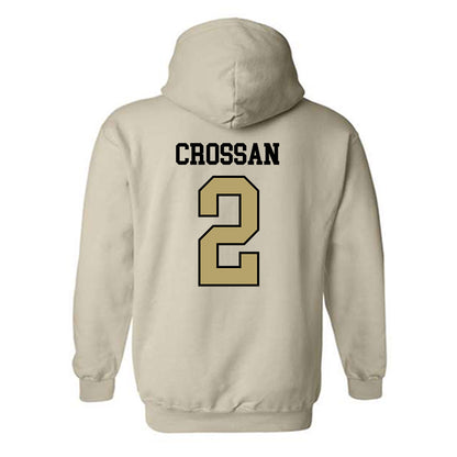 Ferrum - NCAA Men's Soccer : Braden Crossan - Classic Shersey Hooded Sweatshirt-1