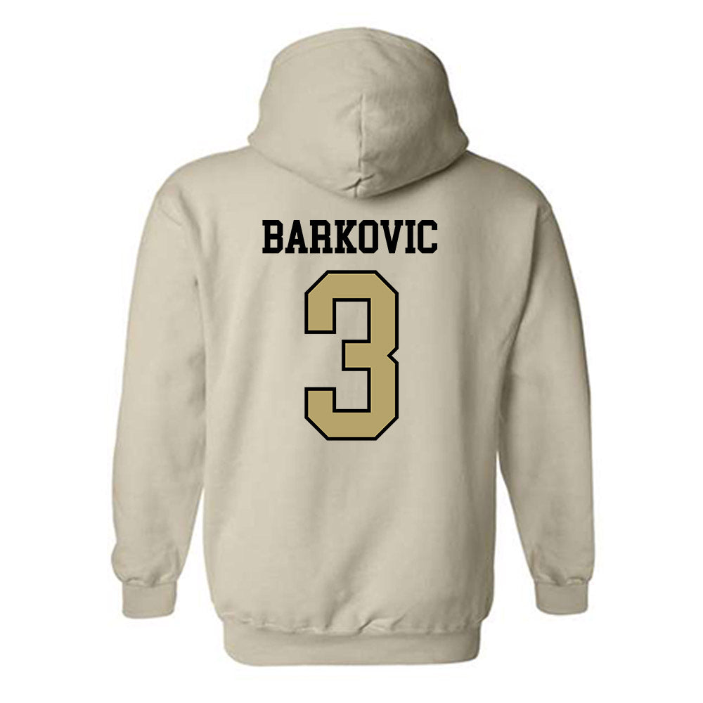 Ferrum - NCAA Women's Lacrosse : Lana Barkovic - Classic Shersey Hooded Sweatshirt-1