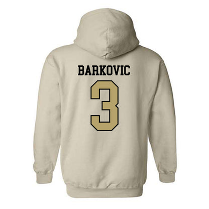 Ferrum - NCAA Women's Lacrosse : Lana Barkovic - Classic Shersey Hooded Sweatshirt-1
