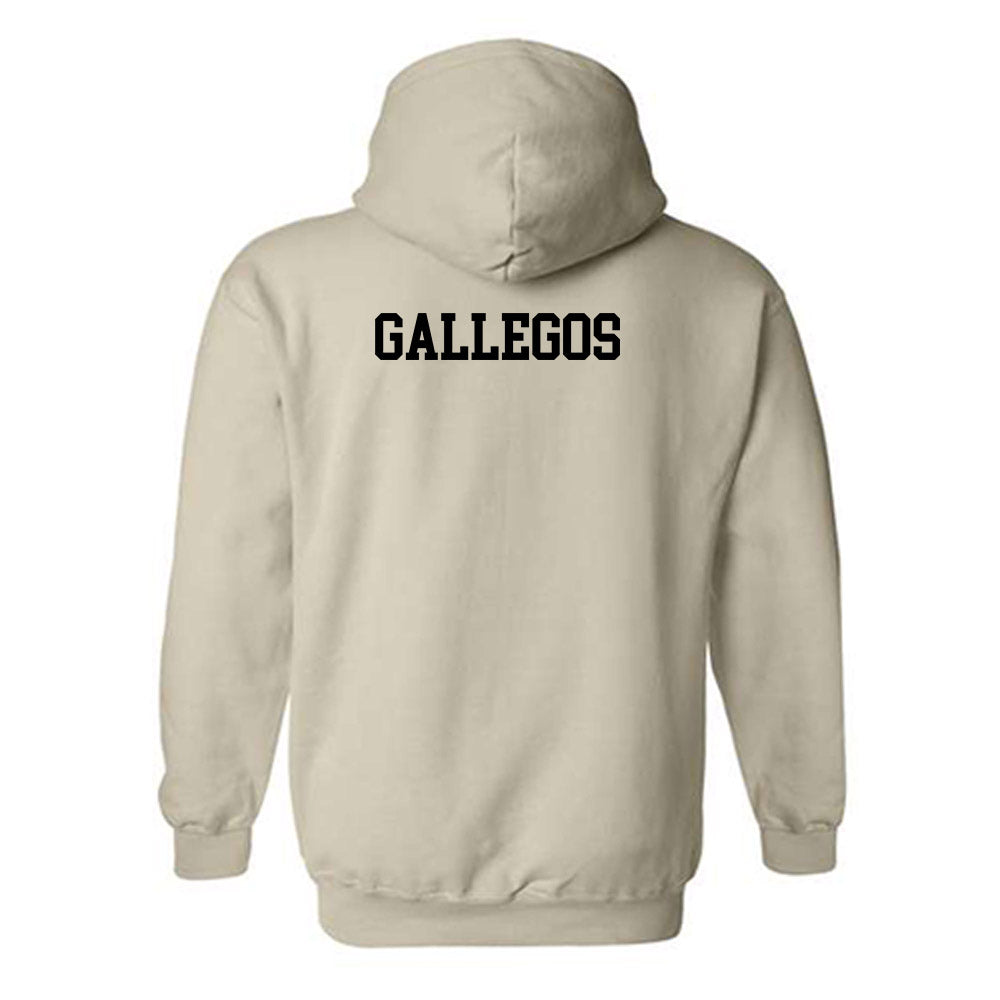 Ferrum - NCAA Men's Track & Field : Josiah Gallegos - Classic Shersey Hooded Sweatshirt-1