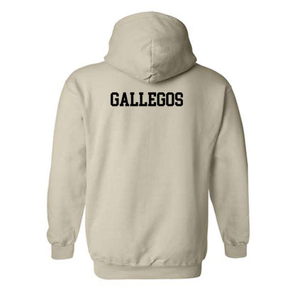 Ferrum - NCAA Men's Track & Field : Josiah Gallegos - Classic Shersey Hooded Sweatshirt-1