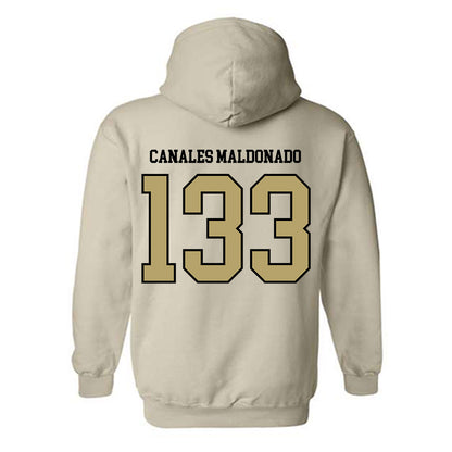 Ferrum - NCAA Wrestling : Josiah Canales Maldonado - Classic Shersey Hooded Sweatshirt-1