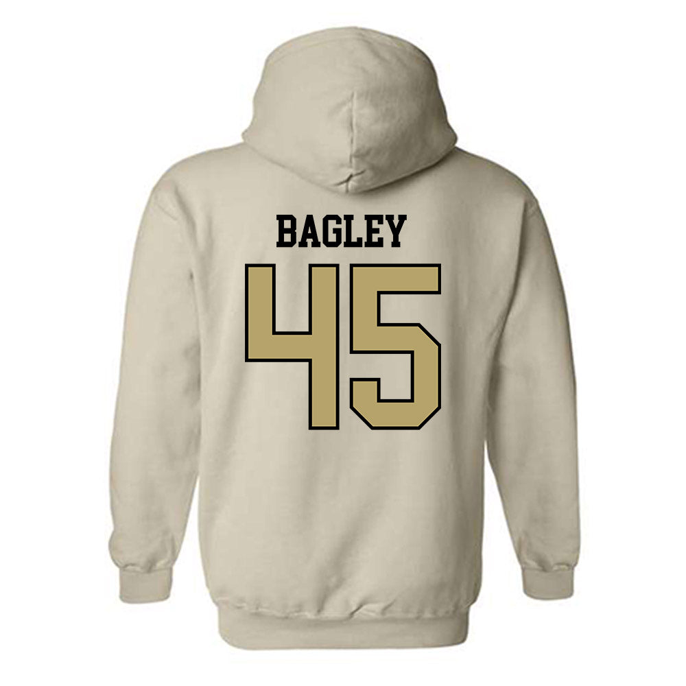 Ferrum - NCAA Baseball : Jackson Bagley - Classic Shersey Hooded Sweatshirt-1