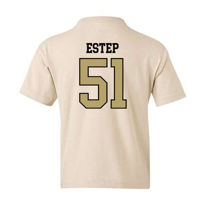 Ferrum - NCAA Softball : Cheyenne Estep - Classic Shersey Youth T-Shirt-1