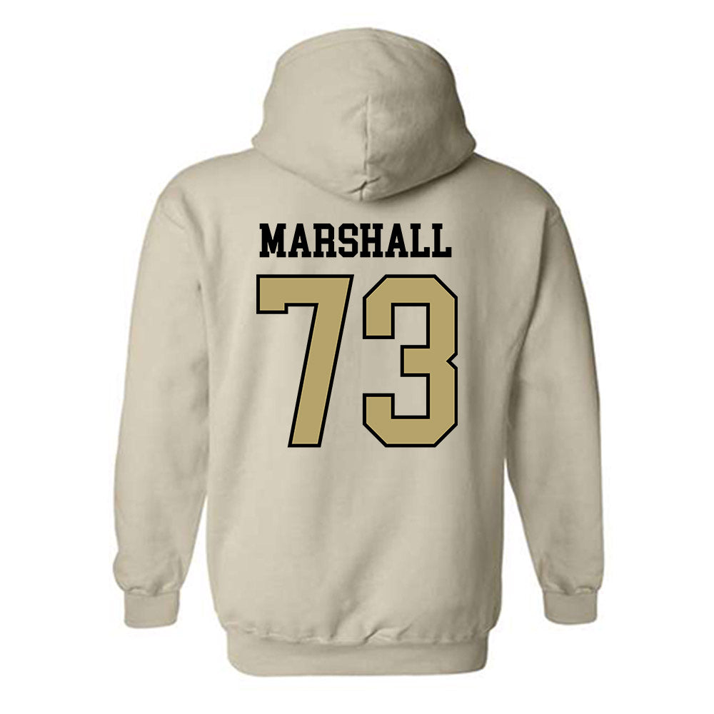 Ferrum - NCAA Softball : Kelsey Marshall - Classic Shersey Hooded Sweatshirt-1