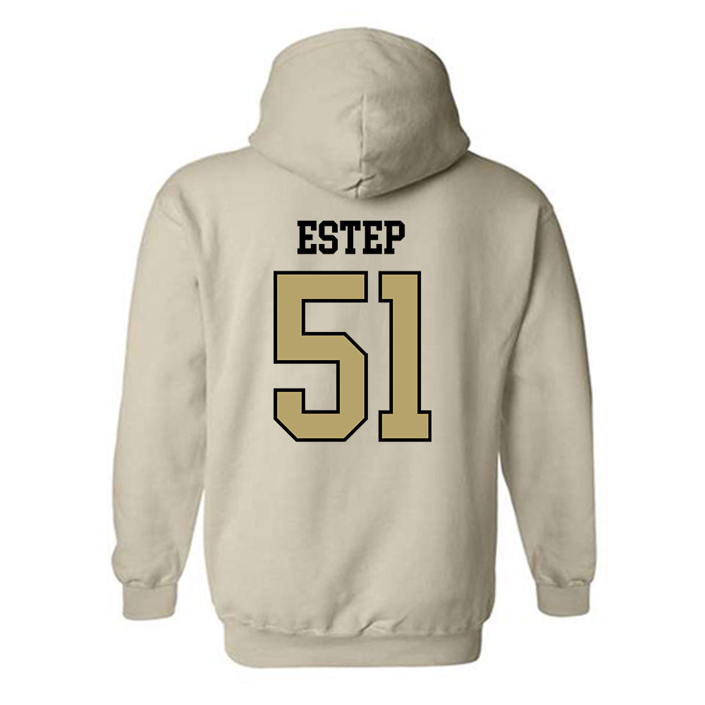 Ferrum - NCAA Softball : Cheyenne Estep - Classic Shersey Hooded Sweatshirt-1