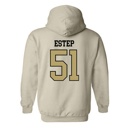 Ferrum - NCAA Softball : Cheyenne Estep - Classic Shersey Hooded Sweatshirt-1
