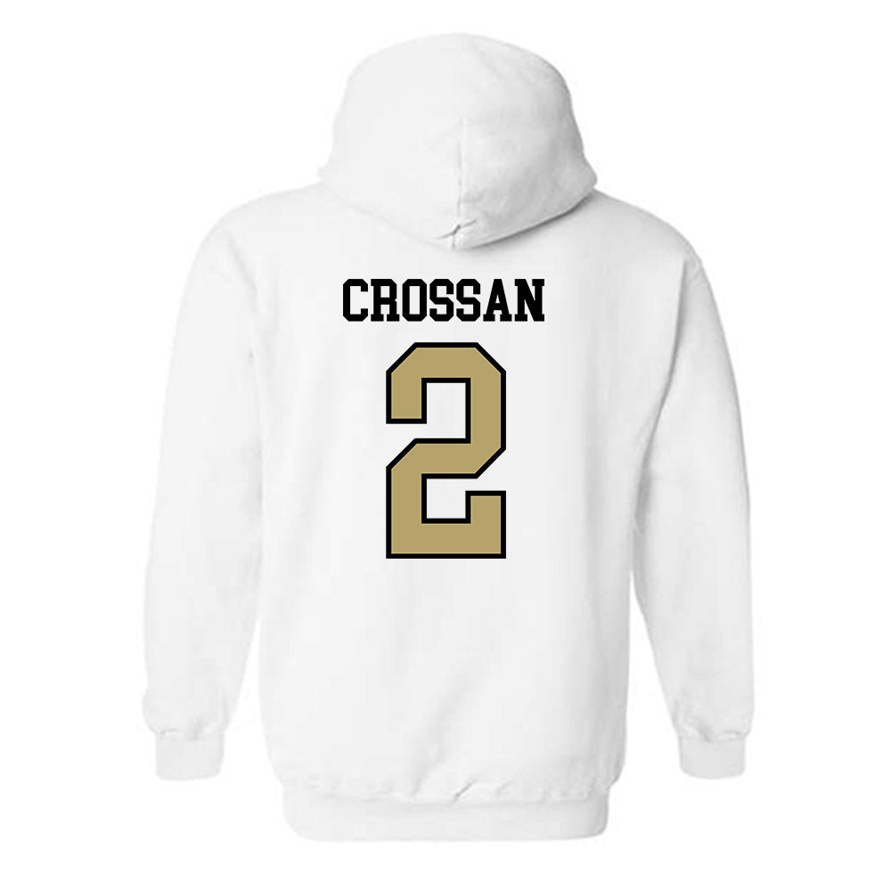 Ferrum - NCAA Men's Soccer : Braden Crossan - Classic Shersey Hooded Sweatshirt-1