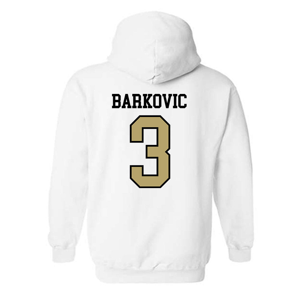 Ferrum - NCAA Women's Lacrosse : Lana Barkovic - Classic Shersey Hooded Sweatshirt-1