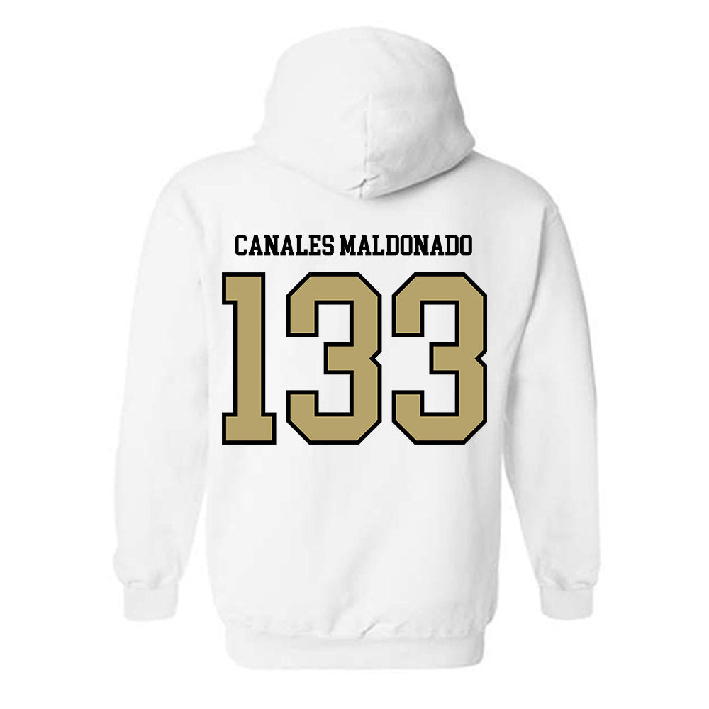 Ferrum - NCAA Wrestling : Josiah Canales Maldonado - Classic Shersey Hooded Sweatshirt-1