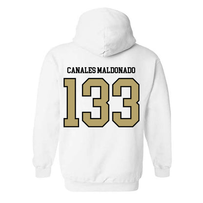 Ferrum - NCAA Wrestling : Josiah Canales Maldonado - Classic Shersey Hooded Sweatshirt-1