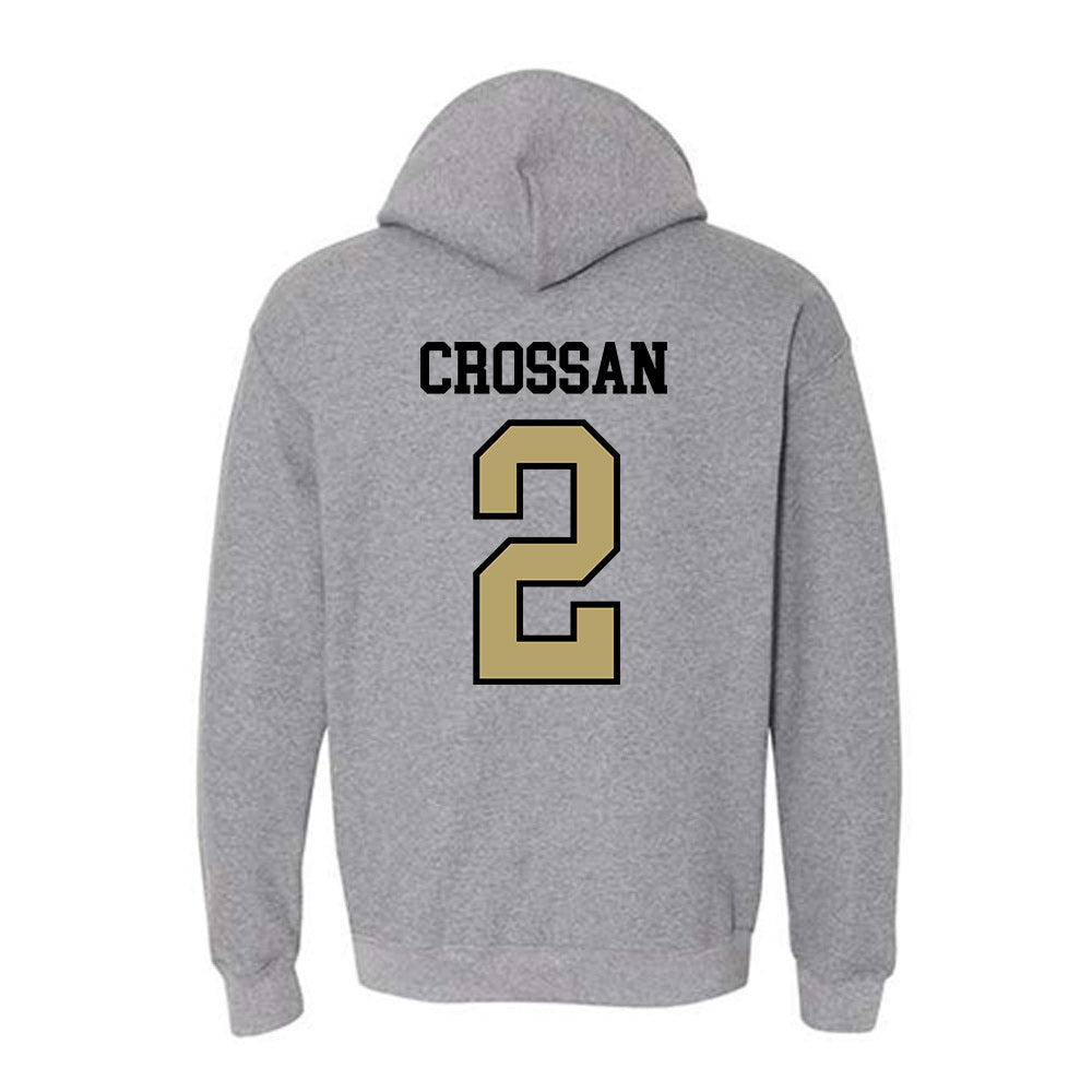 Ferrum - NCAA Men's Soccer : Braden Crossan - Classic Shersey Hooded Sweatshirt-1