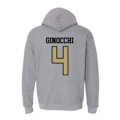 Ferrum - NCAA Men's Soccer : Daniel Ginocchi - Classic Shersey Hooded Sweatshirt-1