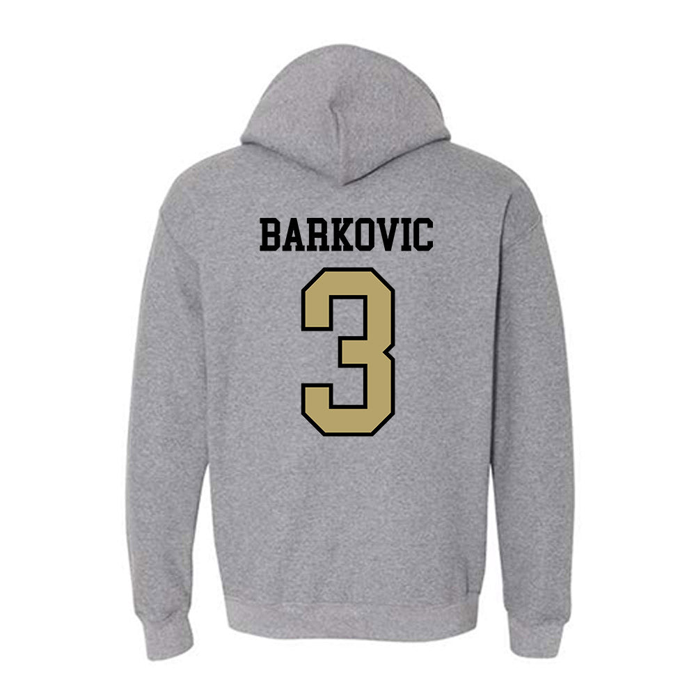 Ferrum - NCAA Women's Lacrosse : Lana Barkovic - Classic Shersey Hooded Sweatshirt-1