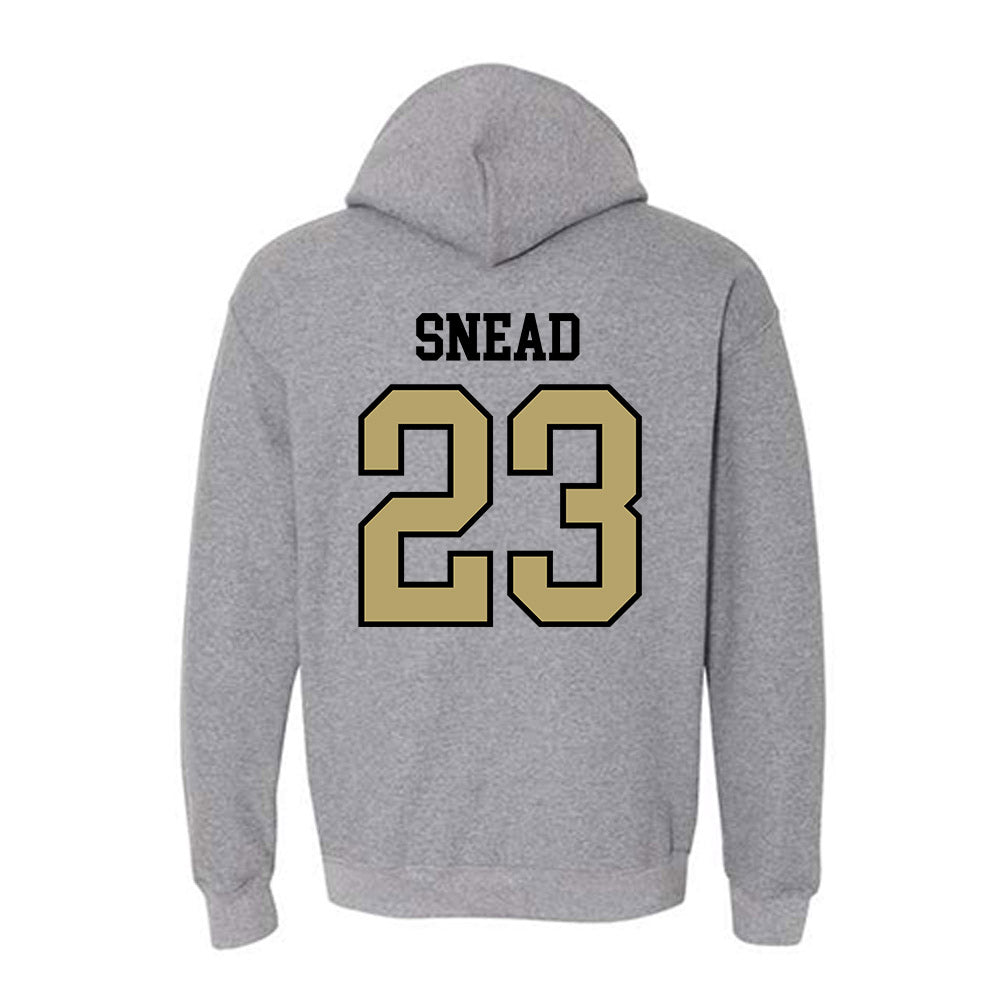 Ferrum - NCAA Softball : Zoey Snead - Classic Shersey Hooded Sweatshirt-1