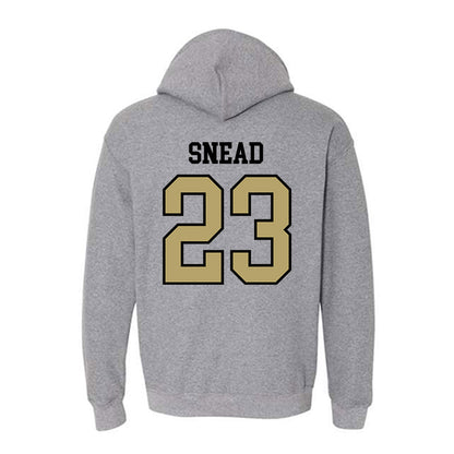Ferrum - NCAA Softball : Zoey Snead - Classic Shersey Hooded Sweatshirt-1