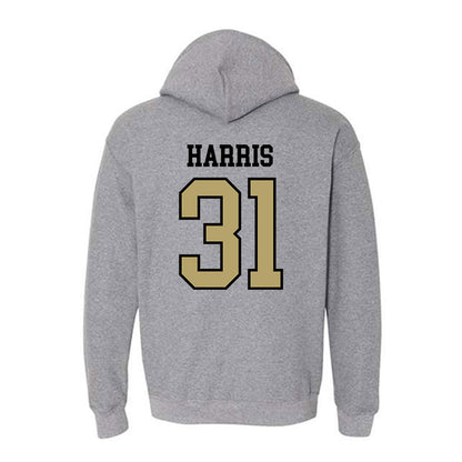 Ferrum - NCAA Football : Ethan Harris - Classic Shersey Hooded Sweatshirt-1