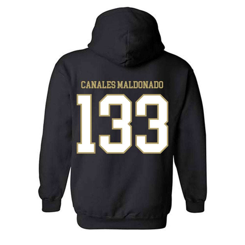Ferrum - NCAA Wrestling : Josiah Canales Maldonado - Classic Shersey Hooded Sweatshirt-1
