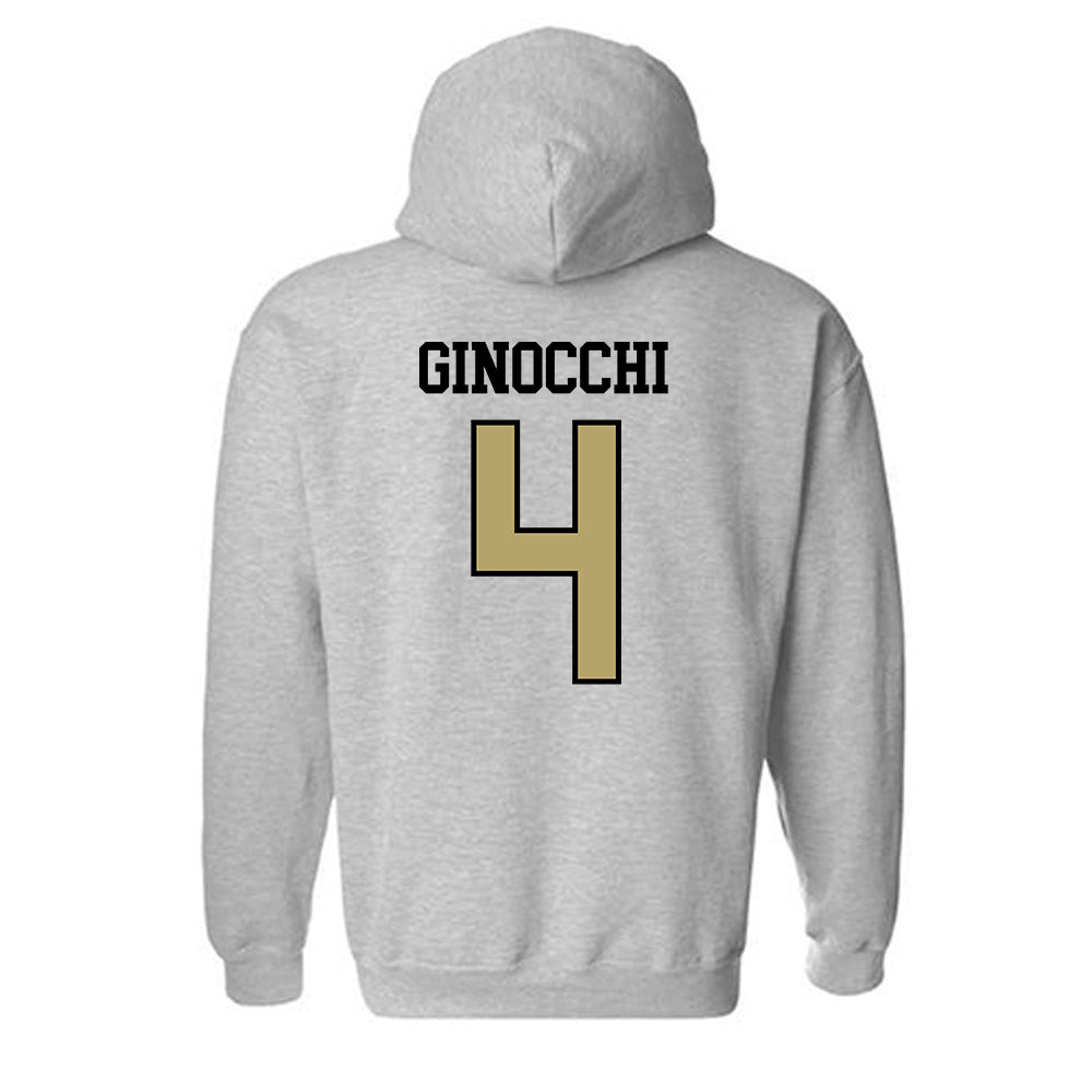 Ferrum - NCAA Men's Soccer : Daniel Ginocchi - Classic Shersey Hooded Sweatshirt-1
