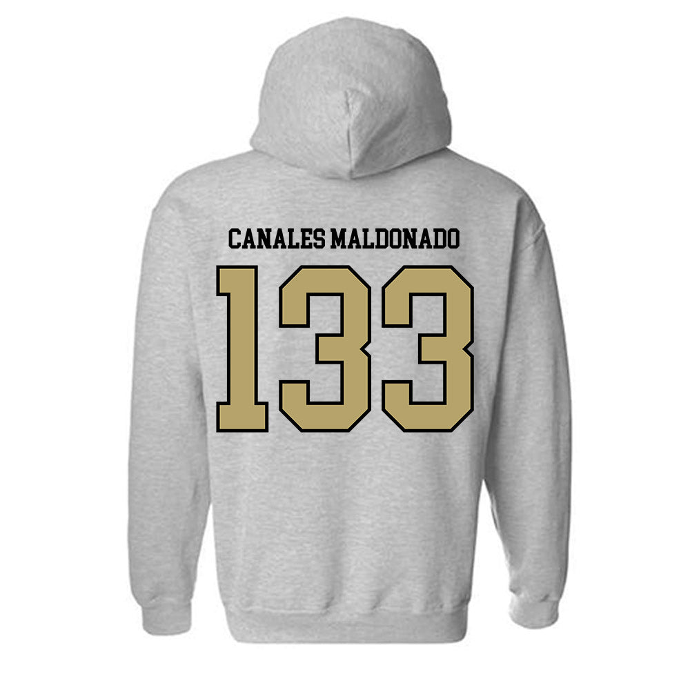 Ferrum - NCAA Wrestling : Josiah Canales Maldonado - Classic Shersey Hooded Sweatshirt-1