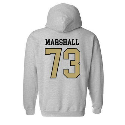 Ferrum - NCAA Softball : Kelsey Marshall - Classic Shersey Hooded Sweatshirt-1