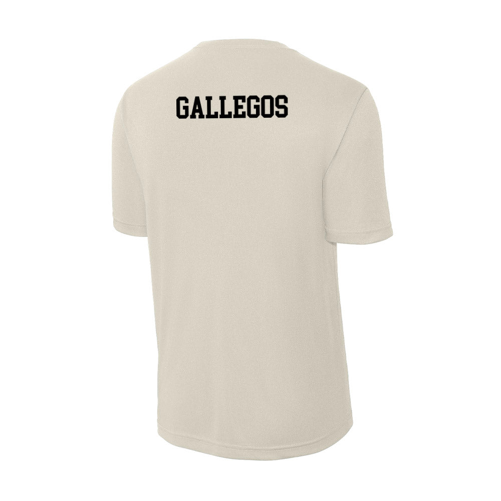 Ferrum - NCAA Men's Track & Field : Josiah Gallegos - Classic Shersey Activewear T-Shirt-1