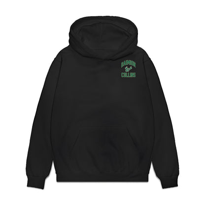 USF - NCAA Men's Basketball : Daimion Collins - Collage Premium Hooded Sweatshirt-0