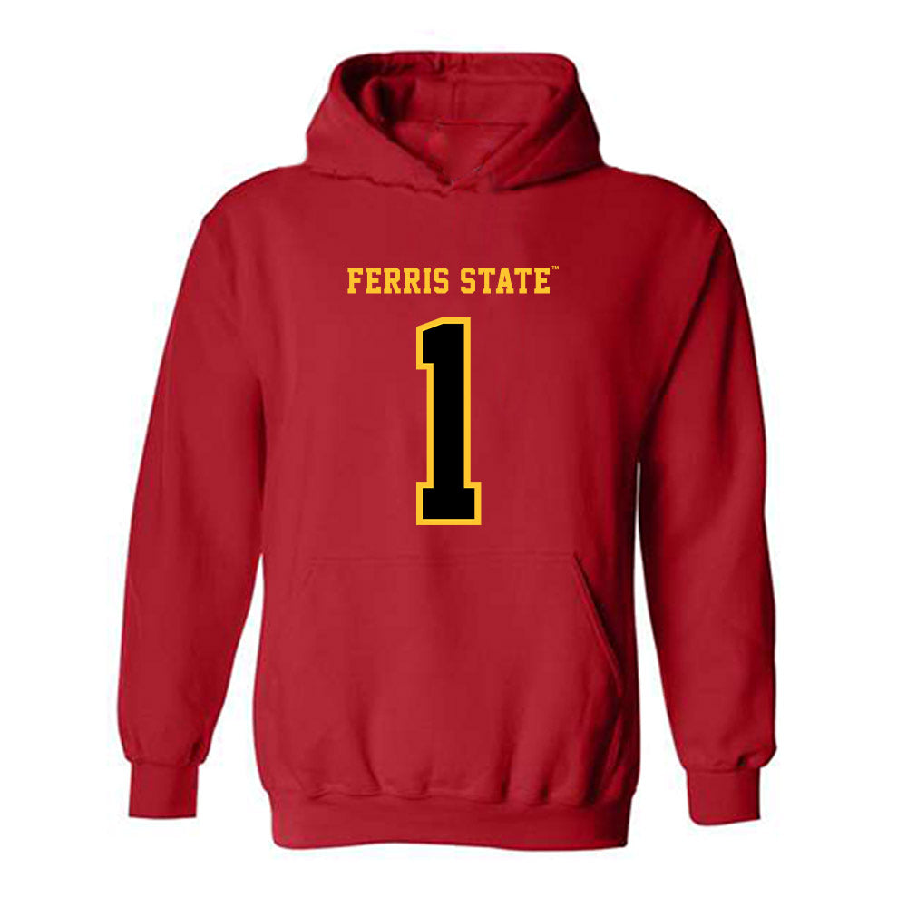 Ferris State - NCAA Men's Basketball : David Williams - Replica Shersey Hooded Sweatshirt-0