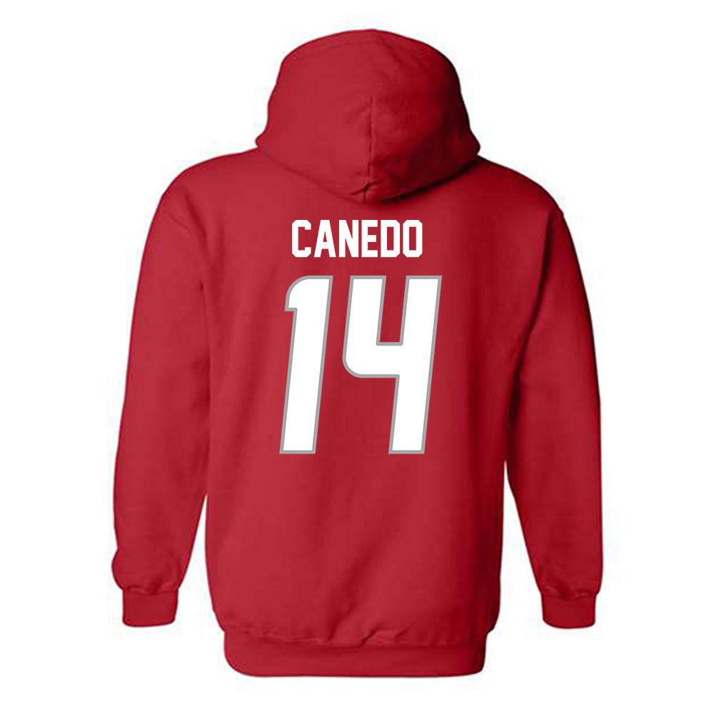 New Mexico - NCAA Women's Volleyball : Camila Canedo - Classic Shersey Hooded Sweatshirt-1