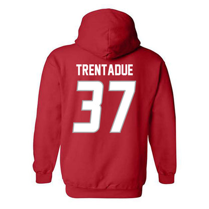 New Mexico - NCAA Football : Johnathan Trentadue - Classic Shersey Hooded Sweatshirt-1