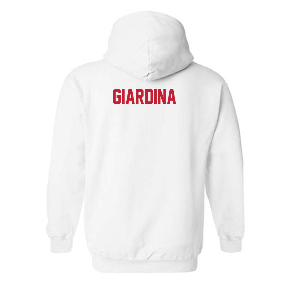 New Mexico - NCAA Men's Cross Country : Matthew Giardina - Classic Shersey Hooded Sweatshirt-1