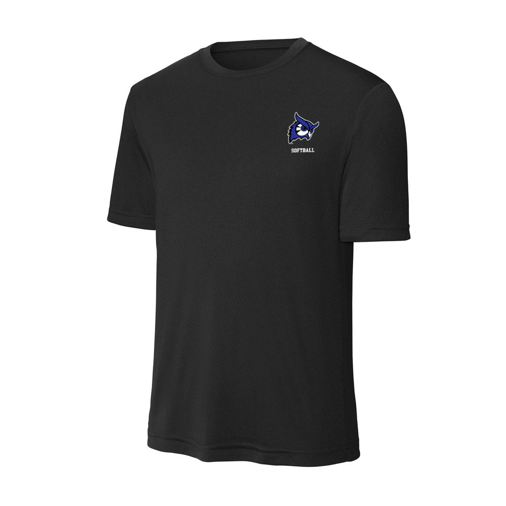 Westfield State - NCAA Softball : Lyla Dwyer - Activewear T-Shirt-0
