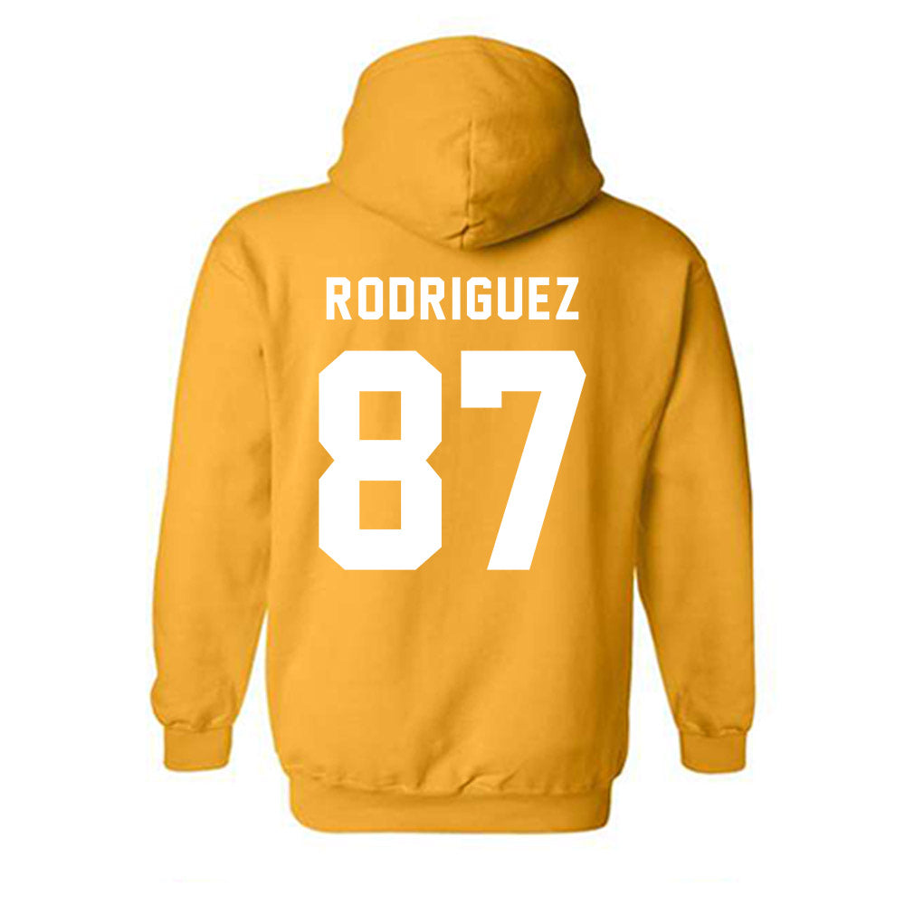 Idaho - NCAA Football : Ethan Rodriguez - VANDALS Hooded Sweatshirt-1
