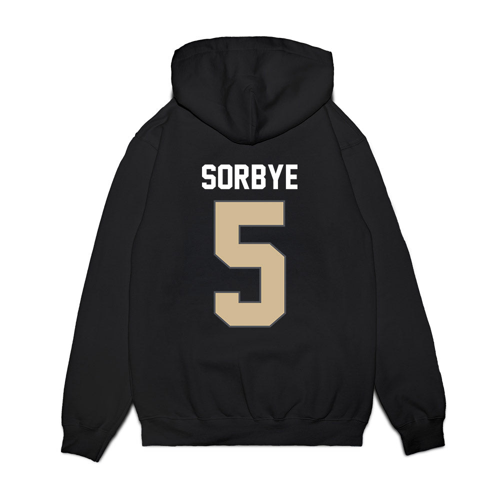 Wake Forest - NCAA Women's Basketball : Aurora Sorbye - Vintage Basketball Premium Hooded Sweatshirt-1