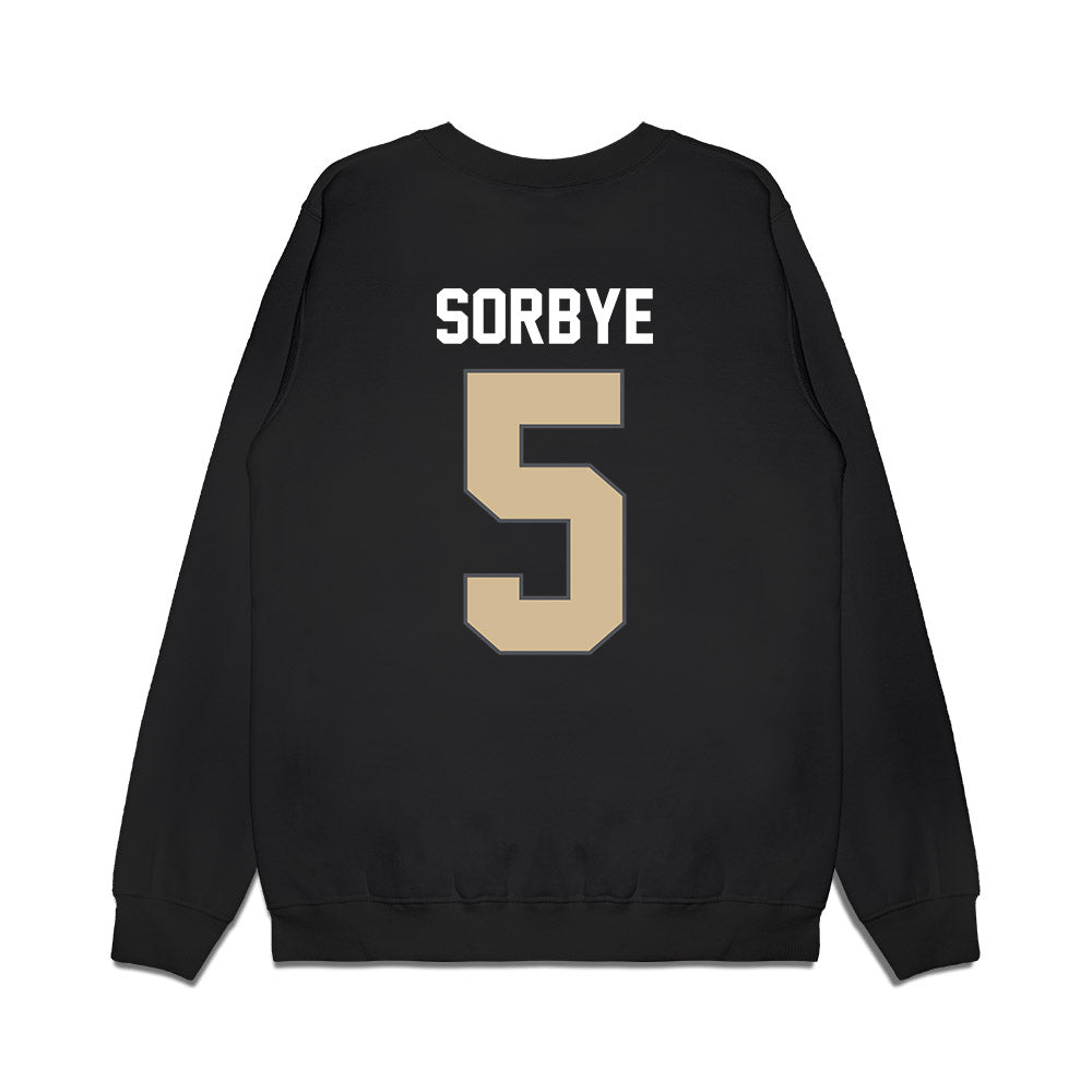 Wake Forest - NCAA Women's Basketball : Aurora Sorbye - Vintage Basketball Premium Crewneck Sweatshirt-1