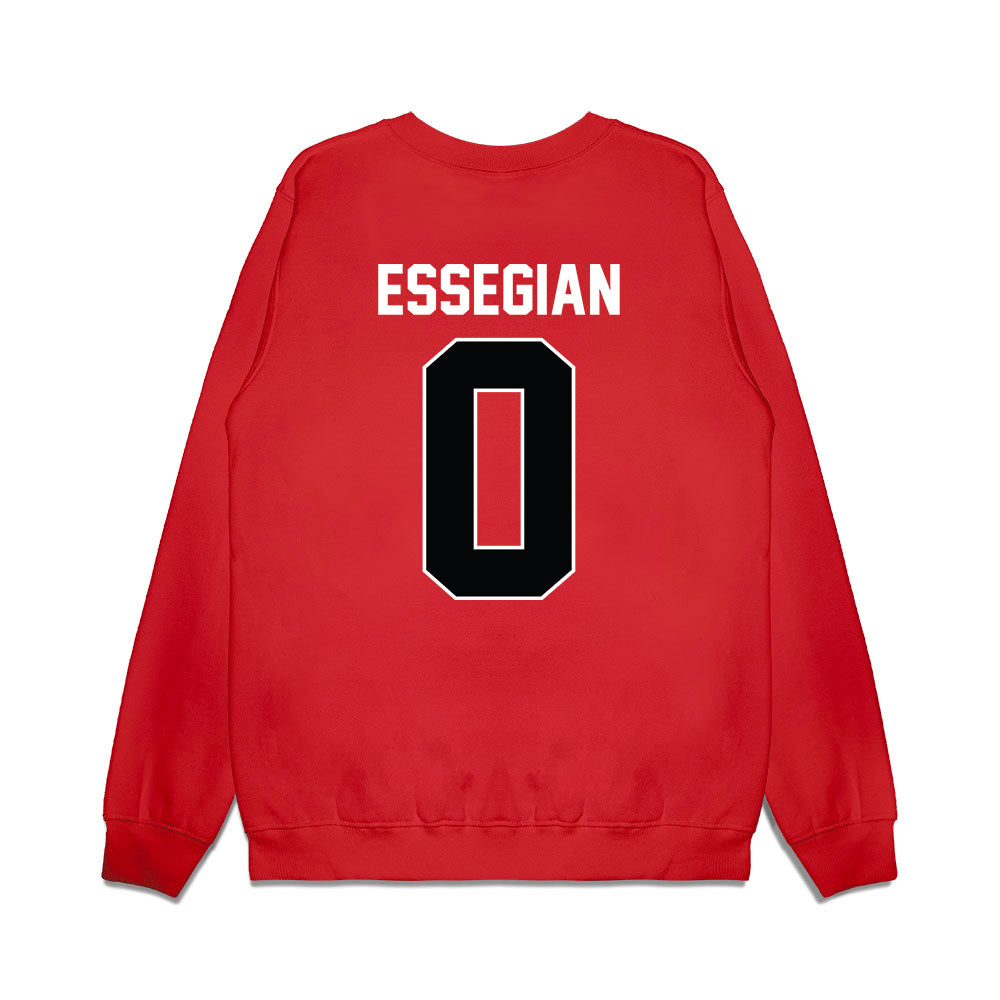 Nebraska - NCAA Men's Basketball : Connor Essegian - Vintage Basketball Premium Crewneck Sweatshirt-1