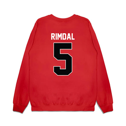 Nebraska - NCAA Women's Basketball : Alberte Rimdal - Vintage Basketball Premium Crewneck Sweatshirt-1