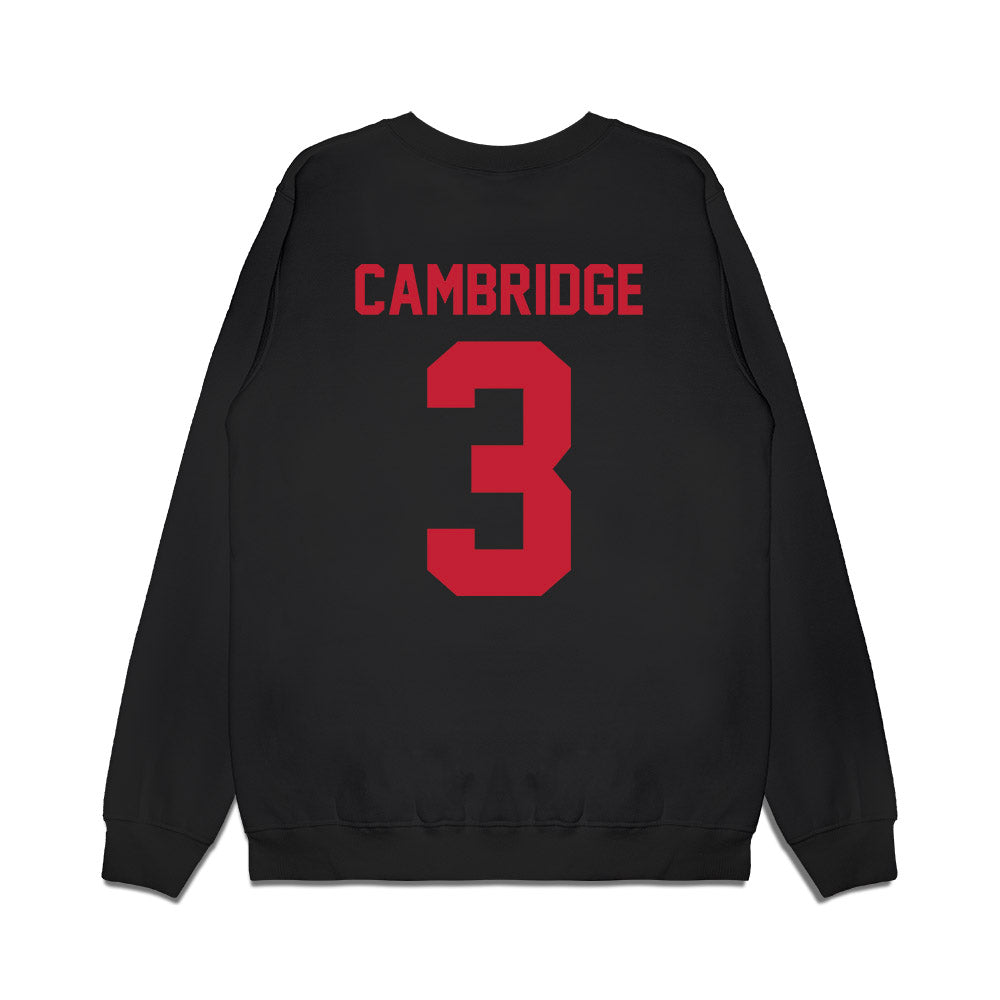 Ohio State - NCAA Women's Basketball : Kennedy Cambridge - Vintage Basketball Premium Crewneck Sweatshirt-1