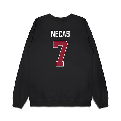 South Carolina - NCAA Men's Basketball : Jakub Necas - Gamecocks Shersey Premium Crewneck Sweatshirt-1