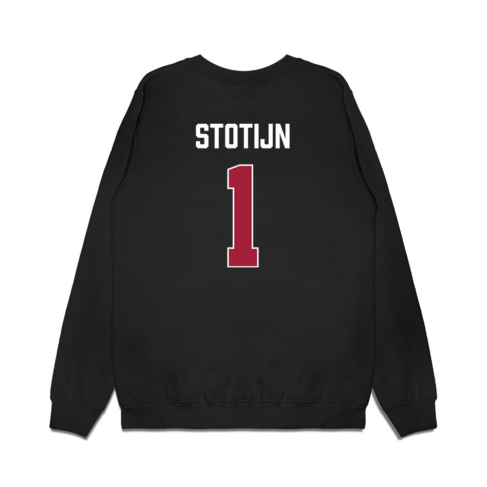 Indiana - NCAA Women's Basketball : Phoenix Stotijn - Vintage Basketball Premium Crewneck Sweatshirt-1