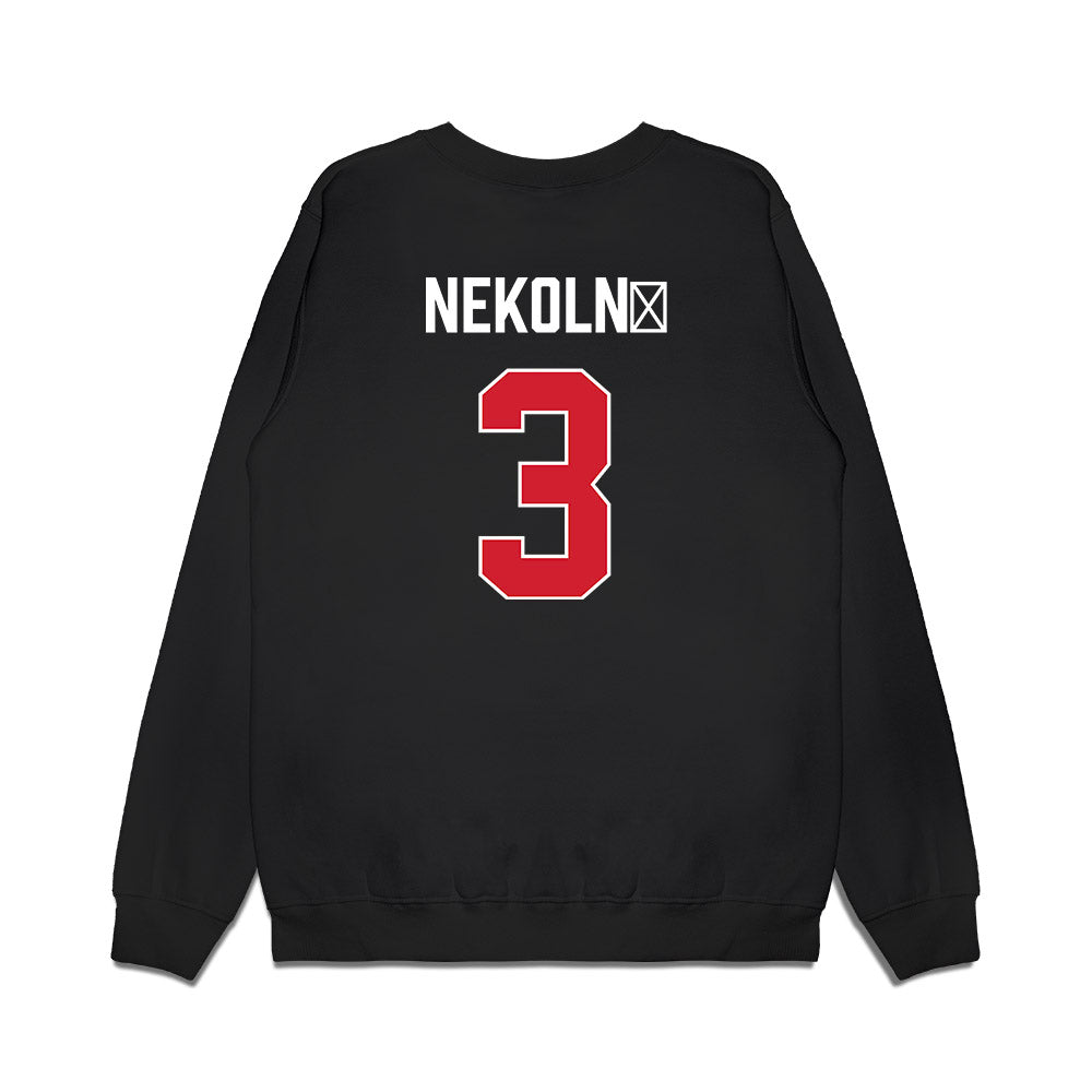 Texas Tech - NCAA Women's Basketball : Julie Nekoln� - Vintage Basketball Premium Crewneck Sweatshirt-1