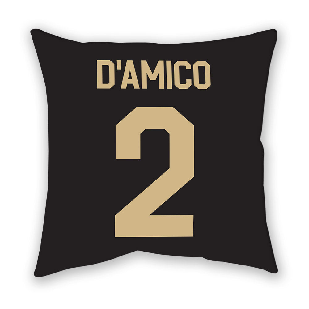 Wake Forest - NCAA Baseball : Logan D'Amico - Pillow-1