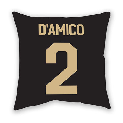 Wake Forest - NCAA Baseball : Logan D'Amico - Pillow-1