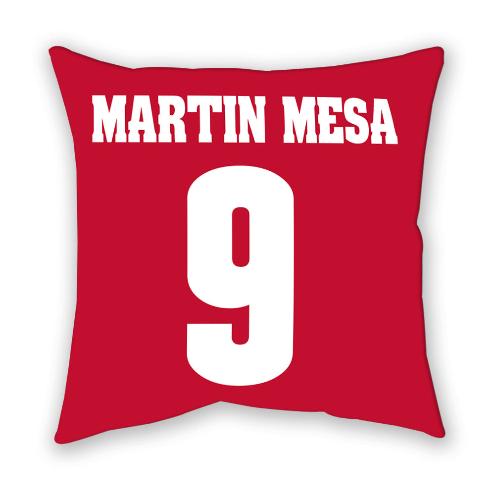 Wisconsin - NCAA Women's Basketball : Alba Martin Mesa - Pillow-1
