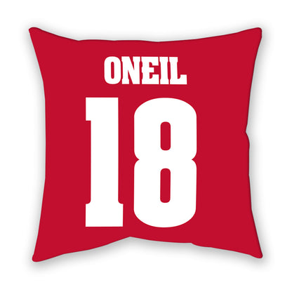 Wisconsin - NCAA Football : Danny ONeil - Pillow-1