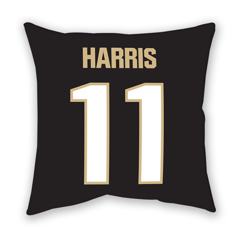 Purdue - NCAA Football : TraMar Harris - Pillow-1