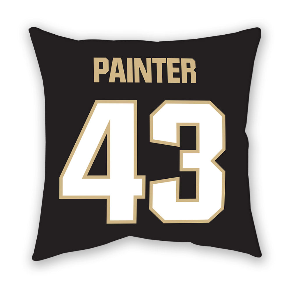 Purdue - NCAA Softball : Haley Painter - Pillow-1