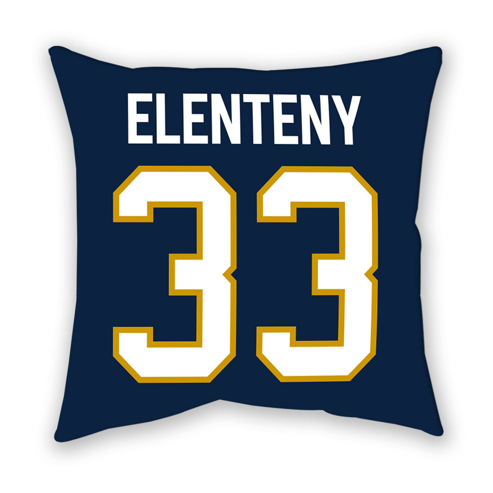 Notre Dame - NCAA Baseball : Connor Elenteny - Pillow-1